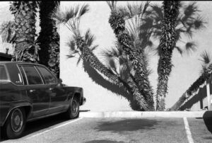 Geparkter Cadillac vor einer Wand mit Palmen und Schattenspiel in Palm Springs, fotografiert von J.F. Lindemann mit Leica M6 und dem Summicron 35mm