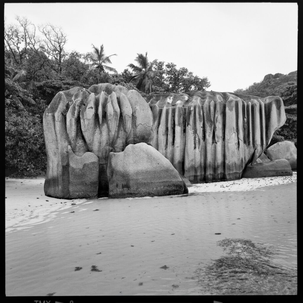 La Digue am Strand mit skurrilen Felsen und einer Palme. Mamiya 6 mit Kodak TMX ein Foto von J.F.Lindemann