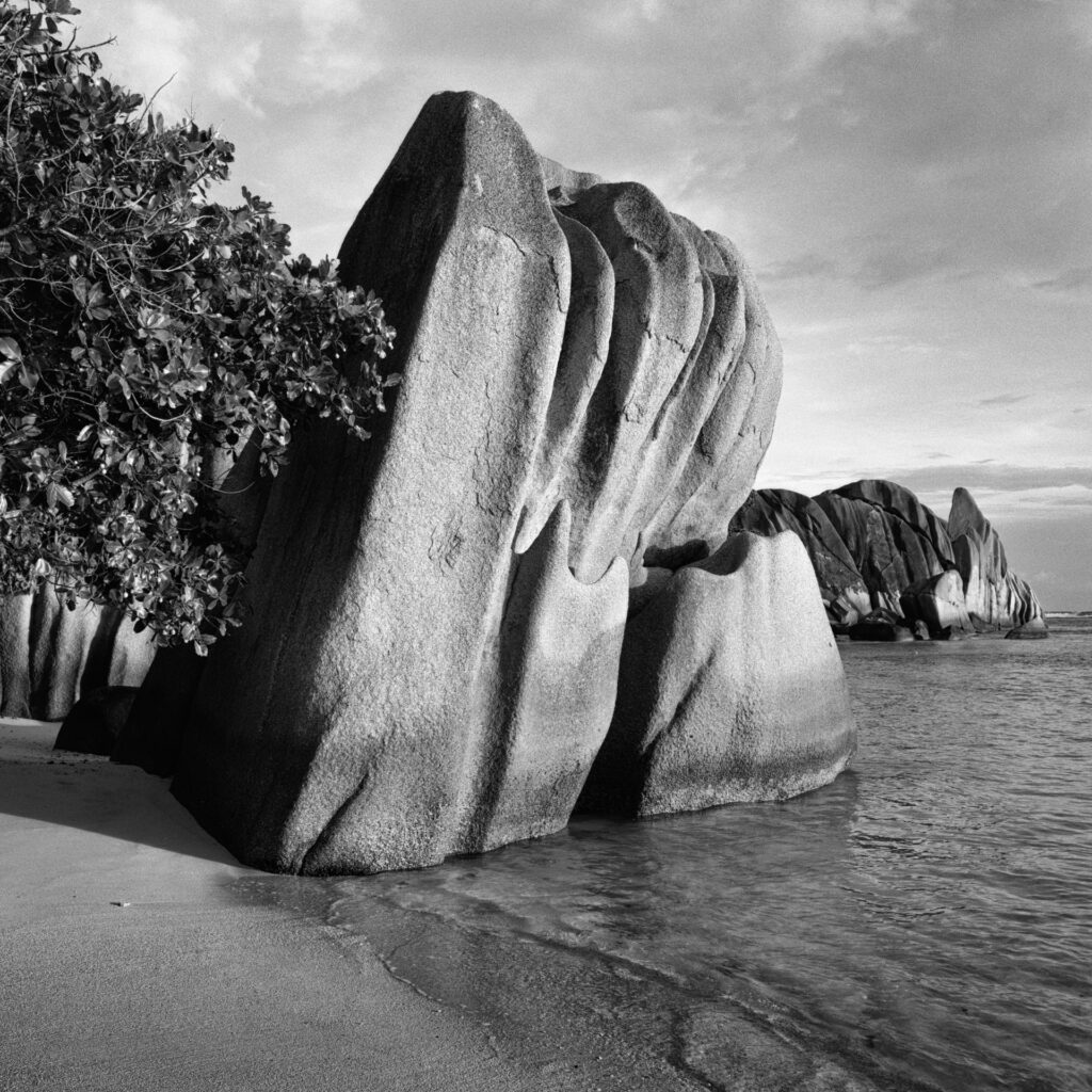 La Digue am Strand mit skurrilen Felsen und einer Palme. Mamiya 6 mit Kodak TMX ein Foto von J.F.Lindemann