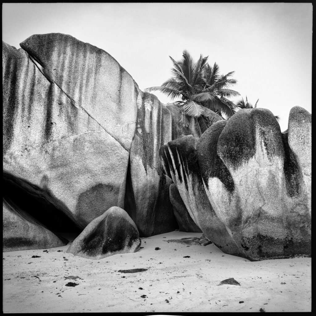 La Digue am Strand mit skurrilen Felsen und einer Palme. Mamiya 6 mit Kodak TMX ein Foto von J.F.Lindemann