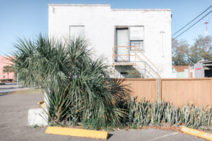 Flaches Gewerbegebäude mit Pflanzenbestand und Parkplatzrand in Saint Petersburg, Florida.