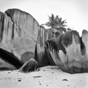 Seychellen, La Digue am Strand mit skurrilen Felsen und einer Palme. Mamiya 6 mit Kodak TMX ein Foto von J.F.Lindemann